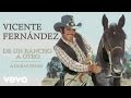 Vicente Fernández - A Duras Penas (Cover Audio)