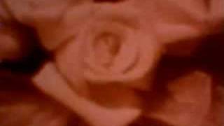 Anne Shelton Arriverderci Darling