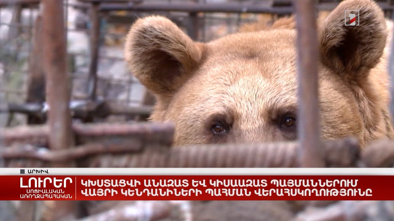 Կխստացվի անազատ և կիսաազատ պայմաններում վայրի կենդանիների պահման վերահսկողությունը