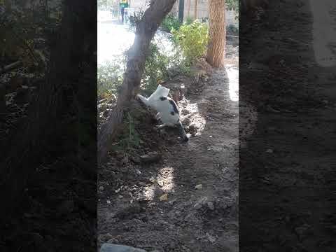 ۱۲ اکتبر ۲۰۲۵