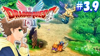 #3.9【 ドラクエ１ 】ローラ姫を抱っこし続けてたら、体調を崩した勇者の冒険です。【 ドラゴンクエスト1＆2 リメイク 】実況【ネタバレあり】