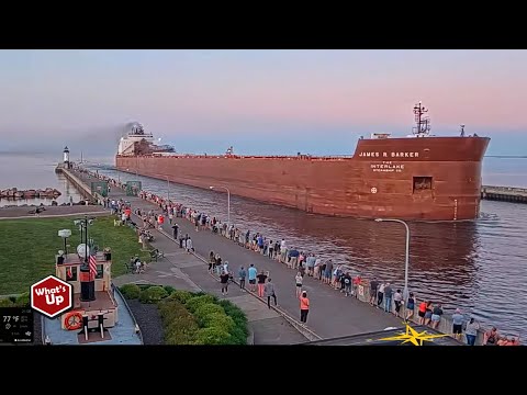 Half a Kilometer in Length, This is the Longest Ship in the World