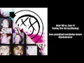 blink-182 vs. Sum 41 - Feeling This Fat Lip ...