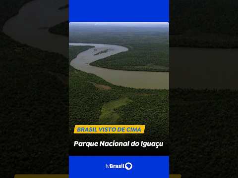 Parque Nacional do Iguaçu é um dos principais refúgios de biodiversidade do país