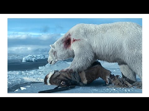 Against the Ice | Bear attack | movie capture