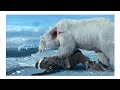 Against The Ice Bear Attack Movie Capture
