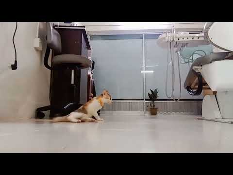 babai jokhon amk khuje