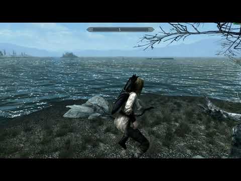 Combat Gameplay Overhaul Bug - Skyrim Special Edition