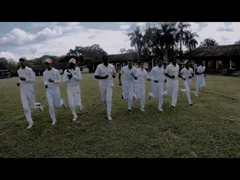 cricket
