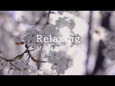 3HRS, Handel 'Menuetto in G minor'(arr. Wilhelm Kempff) ㅣBeautiful PianoㅣRelaxingㅣCalm