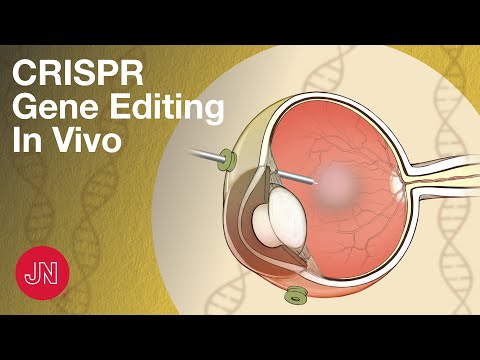 Gene Editing Inside the Body Using CRISPR
