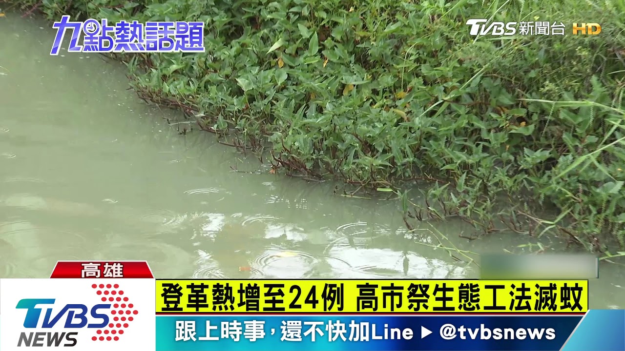登革熱增至24例　高市祭生態工法滅蚊