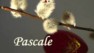 Download lagu SARBATORI PASCALE FERICITE - 2014 mp3