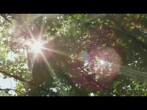 Fundos para Orar, Meditar, Pregar e Meditação ( Giovani Santos )