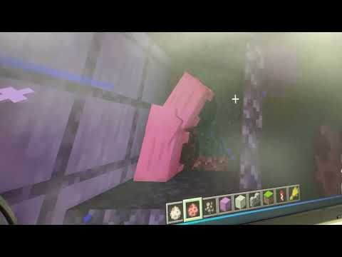 頂溪國小 麥塊SDGs聯合國永續發展目標 葉0穎-麥塊SDGs程式競賽-111學年第二學期