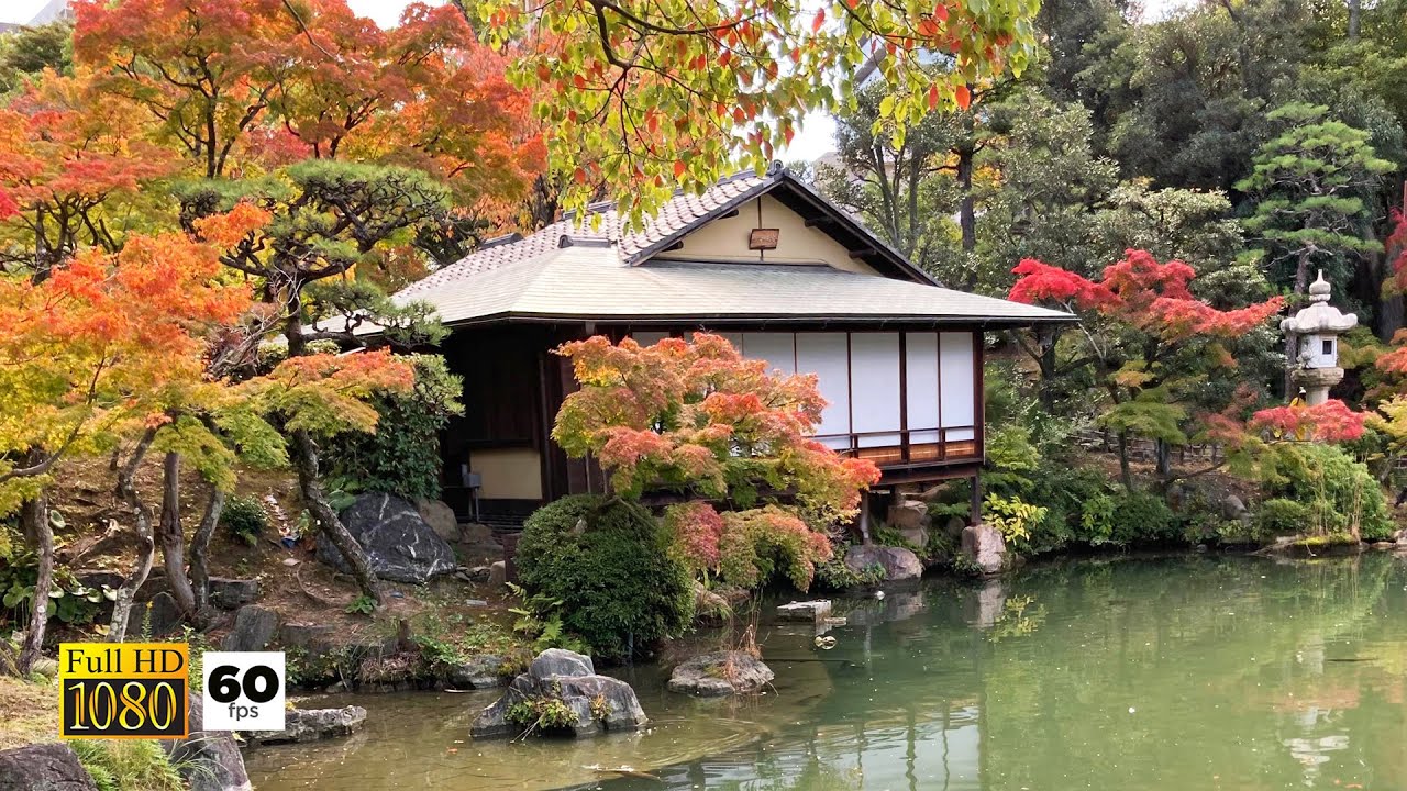 Experience the breathtaking beauty of Sorakuen Garden in the heart of autumn.