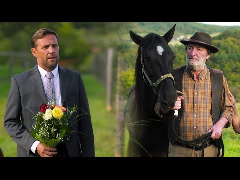 Hvězdy nad hlavou (16) - Žádost o ruku