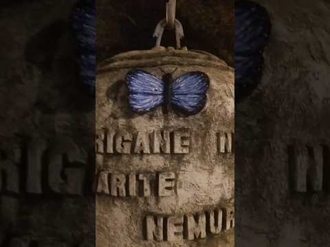 O sino da Paz e a borboleta azul 💙 Itaocara RJ