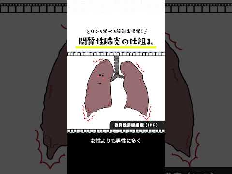 【３分でわかる】間質性肺炎の仕組み