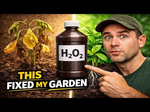 Dieser Haushaltsgegenstand kann Ihren Garten retten – wenn man ihn richtig anwendet.