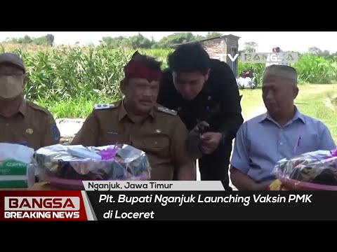 Plt Bupati Nganjuk Launching Vaksin PMK di Loceret