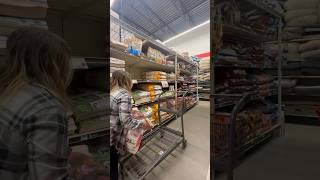 Morning routine. Daily life. Horses. Vlog. #vlog #rountine #dailyshorts #mylife