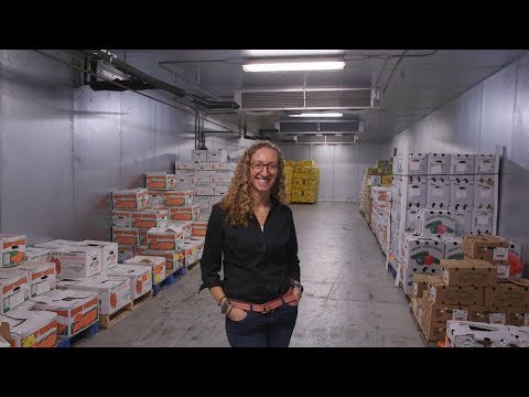 download lagu mp3 mp4 Organic Food Wholesalers, download lagu Organic Food Wholesalers gratis, unduh video klip Organic Food Wholesalers