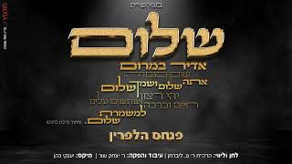 🕊 פנחס הלפרין - משמרת שלום | Pinchas Halperin - Mishmeret Shalom | שיר תפילה לשלום בלחן מרגש