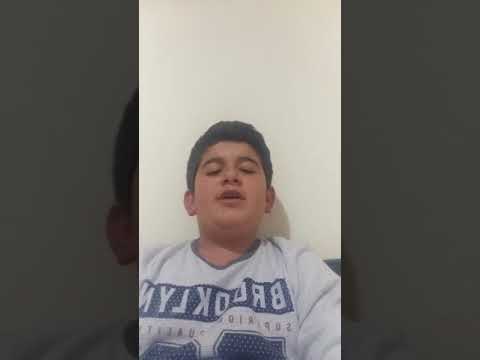 Osman ak-erik dalı gevrektir