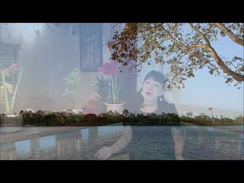 Tình trong mùa đông - Hồng Vân