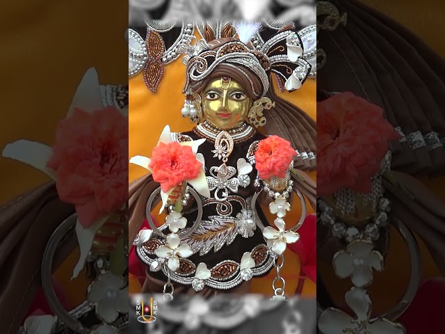 હરિકૃષ્ણ મહારાજ