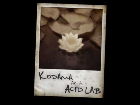 Golden Age presents Kodama aka Acid Lab (clips)
