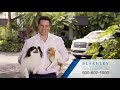 Blakeley Law Firm. Pet Safety Tip