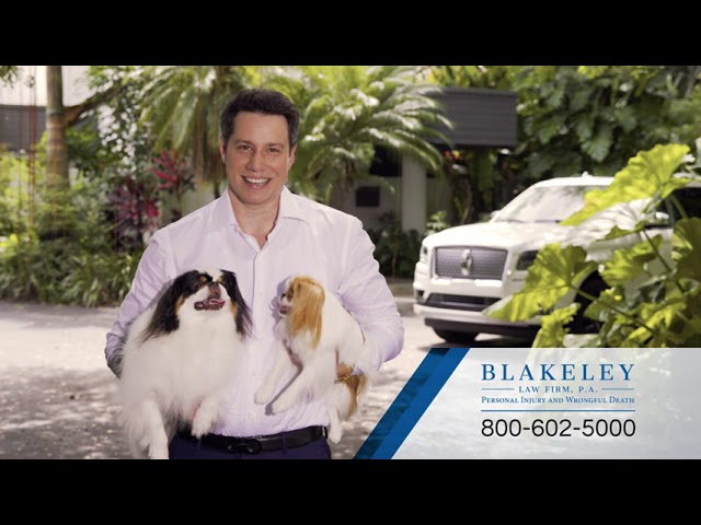 Blakeley Car Accident & Personal Injury Lawyers. Pet Safety Tip.