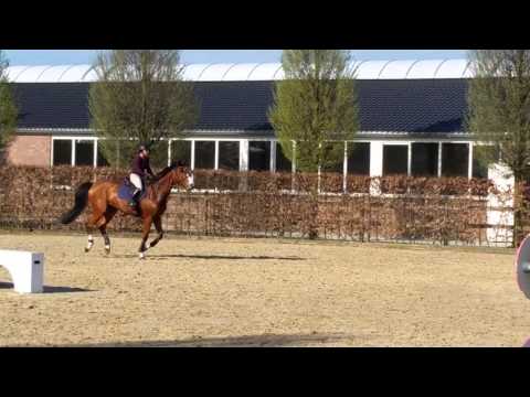 Damiro in Europe day 2