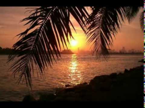 BOLLWERK - Gabry Ponte ft.  Miani - Vivi nell'aria