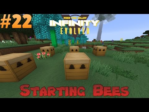 FTB Infinity Evolved - Fixing Sorting and Starting Bees! Ep 22