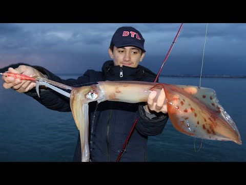 LIGNJA OD 2 KG sa obale ( + poseban sistem za savršenu kontrolu skosavice)