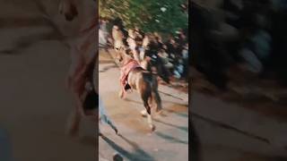 Download lagu 10 Muharram 2025 Buraq Badshah Karbala Gamay Shah Inside Run mp3 Download lagu 10 Muharram 2025 Buraq Badshah Karbala Gamay Shah Inside Run mp3