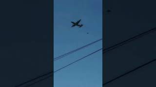 Download lagu #inilah #ketika #freefire #didunia #asli mp3 Download lagu #inilah #ketika #freefire #didunia #asli mp3