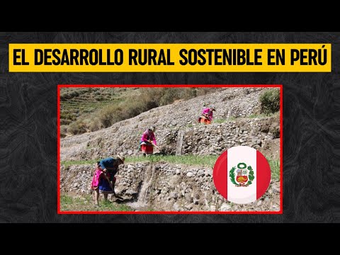 ANDENES ANCESTRALES DE PERÚ: Clave en la rehabilitación de suelos agrarios