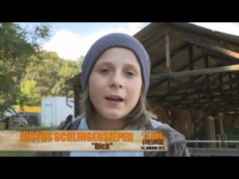 Fünf Freunde machen eine Entdeckung (14)