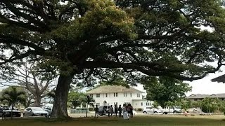 Deuteronomy Chapters 27 &amp; 28 Sermon on Graduation, Life Choices, and Consequences