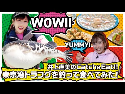 井上直美のCatch&Eat !! ～東京湾トラフグを釣って食べてみた！～【フグカットウFT】