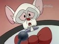 Animaniacs Bang Zoom Right In The Kisser Russian 2014 Dub By Boomerang