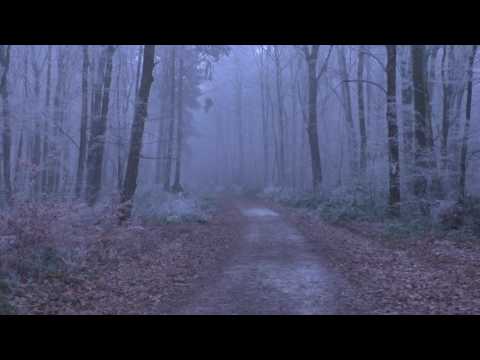 Edsile S - SAAR WINTER