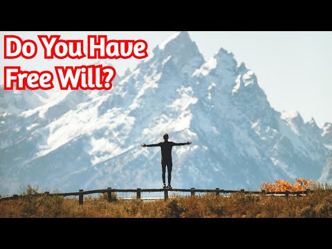 Do You Have Free Will?
