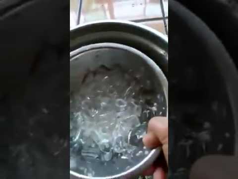 Apakah mungkin untuk menyingkirkan selulit di pantat Cara menurunkan berat badan 20 kg