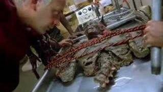 "Return of the living dead" talking half-corpse