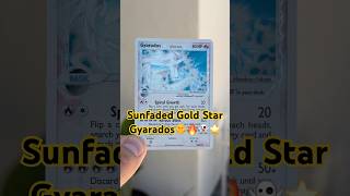 Ghost Star Gyarados 5 months into sunbleaching🔥🌞⭐️ #pokemonchannel #pokemon #pokemonyoutube #tcg
